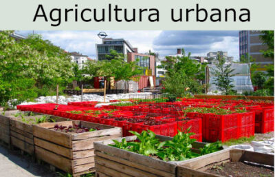 Agricultura urbana