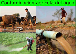 Contaminación agrícola del agua