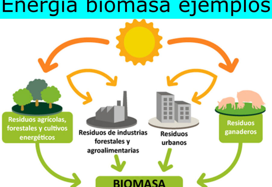 Energía biomasa ejemplos