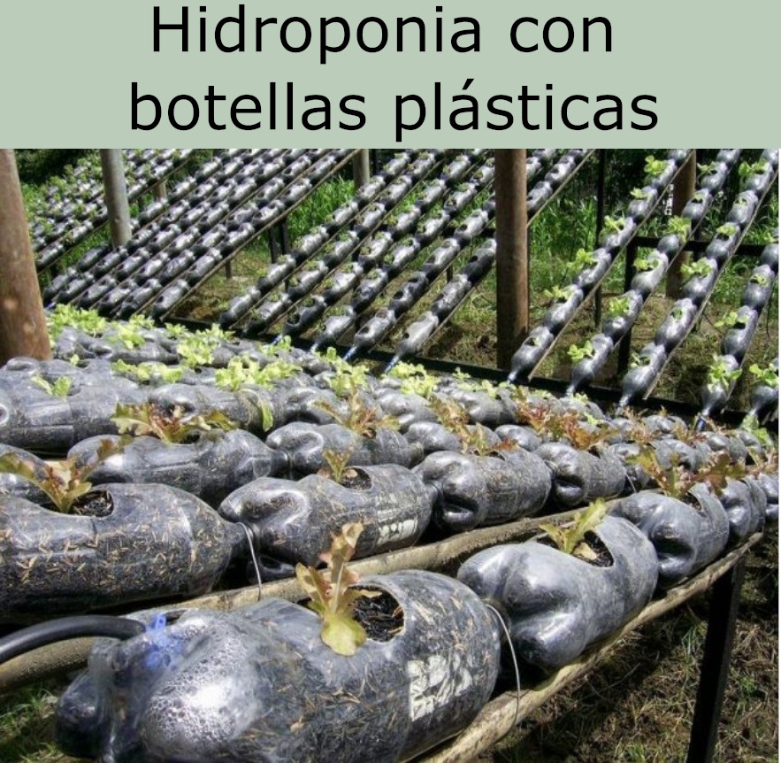 cultivos hidropónicos con botellas plásticas