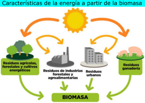 Características de la energía a partir de la biomasa