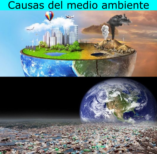 Causas del medio ambiente