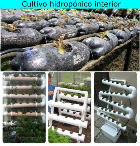Cultivo hidropónico interior
