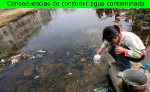 Consecuencias de consumir agua contaminada