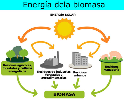 Energía dela biomasa