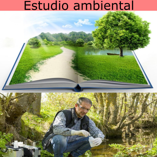 Estudio ambiental