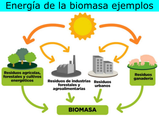Energía de la biomasa ejemplos