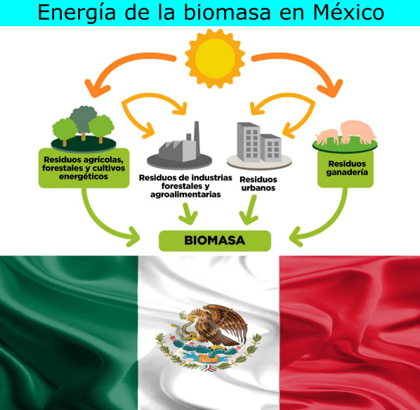 Energía de la biomasa en México