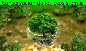 Conservación de los Ecosistemas