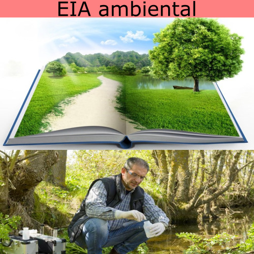 EIA ambiental