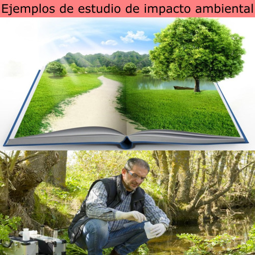 Ejemplos de estudio de impacto ambiental