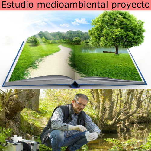 Estudio medioambiental proyecto