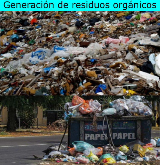 Generación de residuos orgánicos