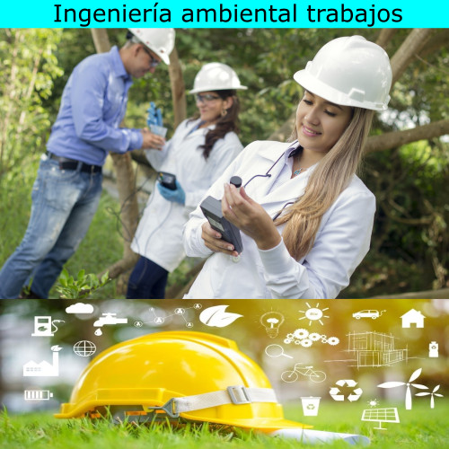 Ingeniería ambiental trabajos