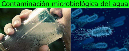Contaminación microbiológica del agua