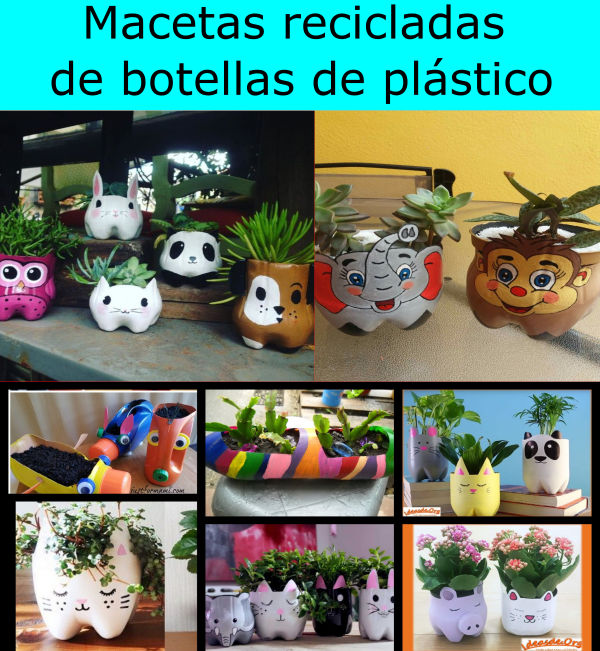 donante escritura Oriental ▷ 15 Macetas Recicladas de Botellas de Plástico: creativas