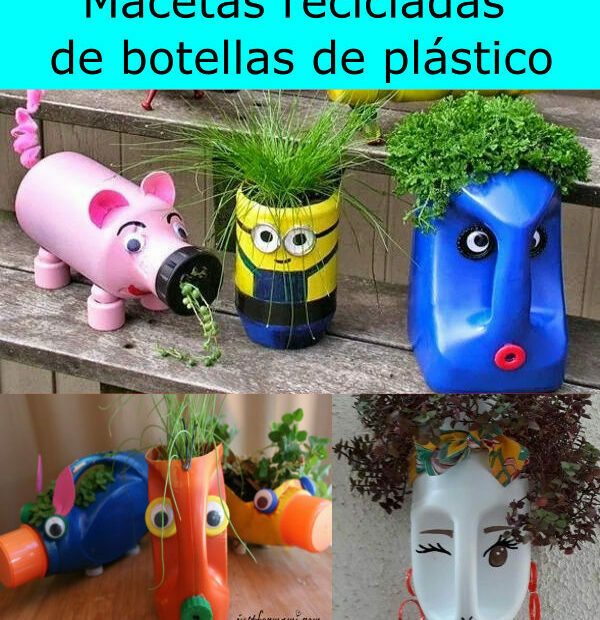 Macetas de botellas de plásticos