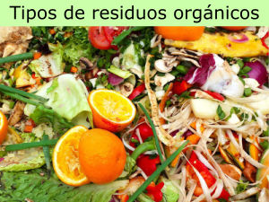 tipos de residuos orgánicos