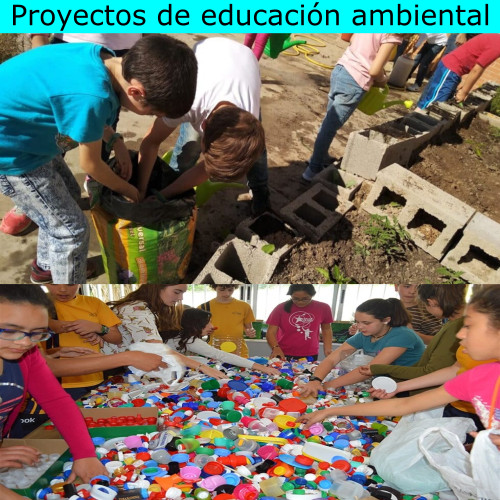 Proyectos de educación ambiental