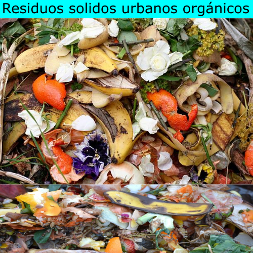 Residuos solidos urbanos orgánicos
