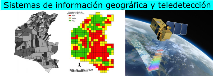 Sistemas de información geográfica y teledetección