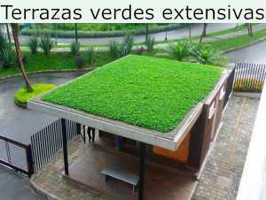 techos verdes extensivos