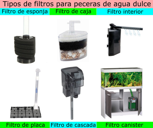 Tipos de filtros para peceras de agua dulce